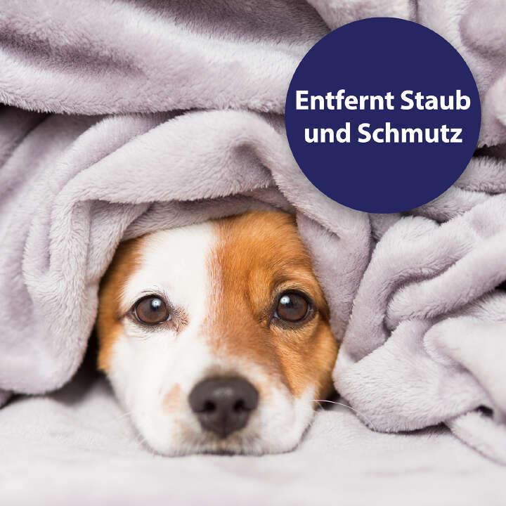 Canosept Augenpflege-Pads für Hunde